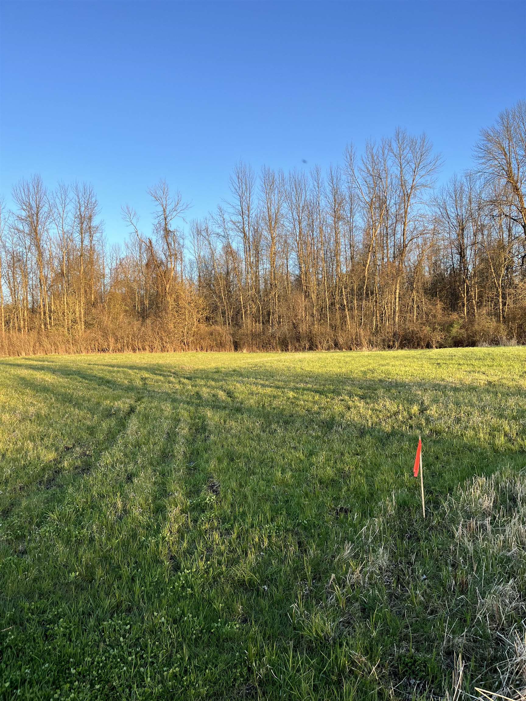 St Lawrence County Board of REALTORS® Search Results